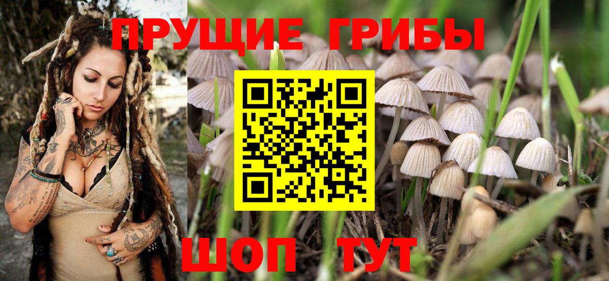 Псилоцибиновые грибы ЛСД Славгород